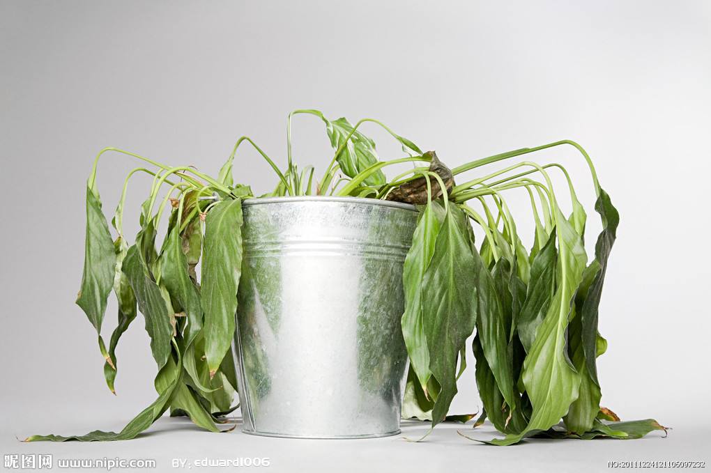 上海怎么做甲醛檢測？——艾克瑞爾