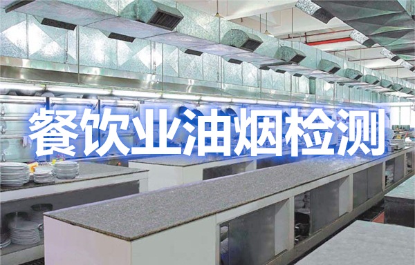 上海環(huán)境檢測(cè)咨詢服務(wù)有限公司 上海環(huán)境檢測(cè)咨詢服務(wù)有限公司