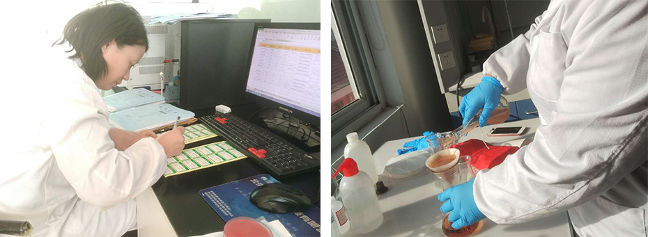 上海環(huán)境檢測咨詢服務(wù)有限公司 上海環(huán)境檢測咨詢服務(wù)有限公司