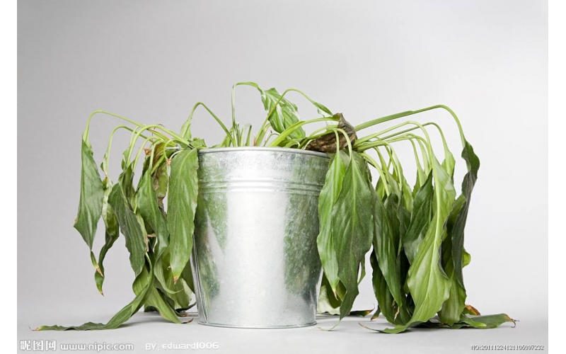 上海甲醛檢測(cè)機(jī)構(gòu)檢測(cè)室內(nèi)裝修頭號(hào)公敵甲醛