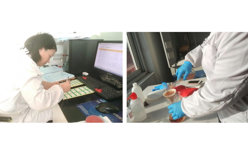 上海公共場所衛(wèi)生檢測服務(wù)機(jī)構(gòu)