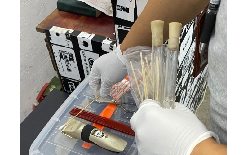 公共場所衛(wèi)生檢測或者評價報告